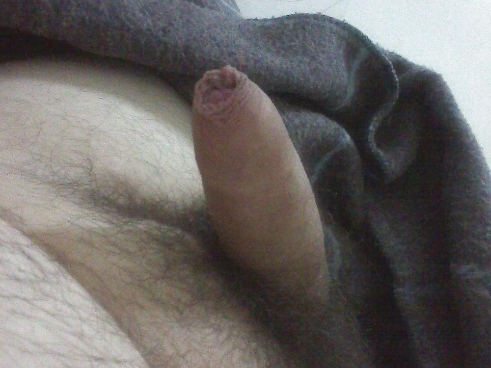 17P Uncut penis