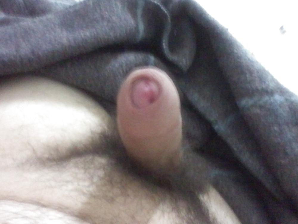 17P Uncut penis