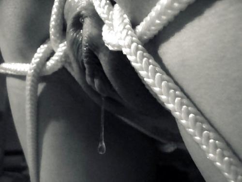 15P Dominance and submission 26