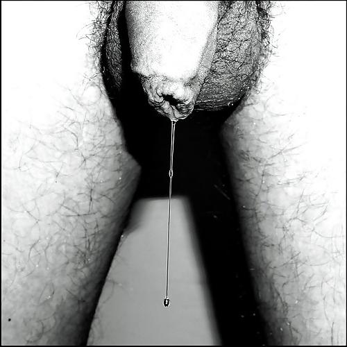 20P Pre Cum Lovers