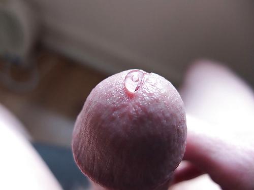 20P Pre Cum Lovers