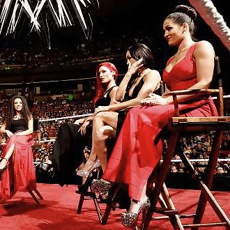 25P The Bella Twins (Nikki and Brie) WWE Divas mega collection 2