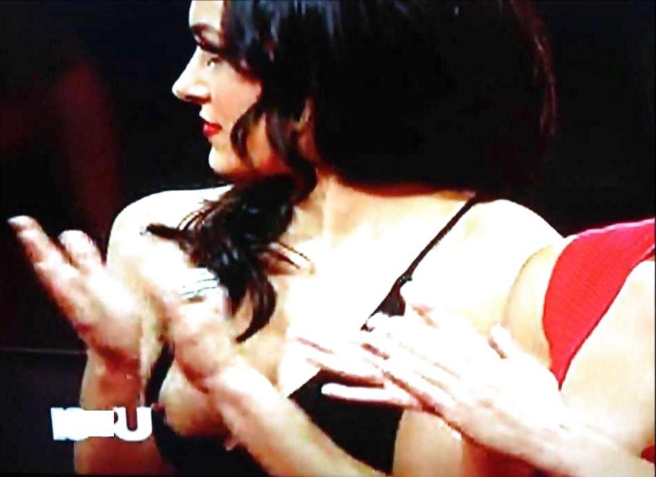 25P The Bella Twins (Nikki and Brie) WWE Divas mega collection 2