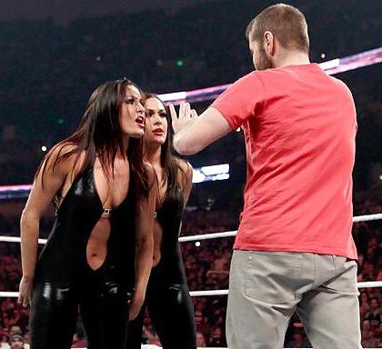 25P The Bella Twins (Nikki and Brie) WWE Divas mega collection 2