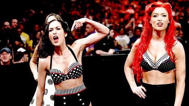 25P The Bella Twins (Nikki and Brie) WWE Divas mega collection 2
