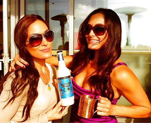 25P The Bella Twins (Nikki and Brie) WWE Divas mega collection 2