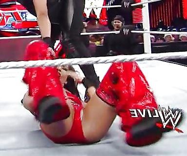 25P The Bella Twins (Nikki and Brie) WWE Divas mega collection 2