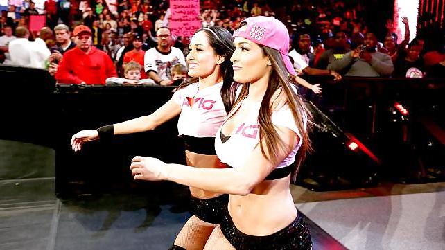 25P The Bella Twins (Nikki and Brie) WWE Divas mega collection 2