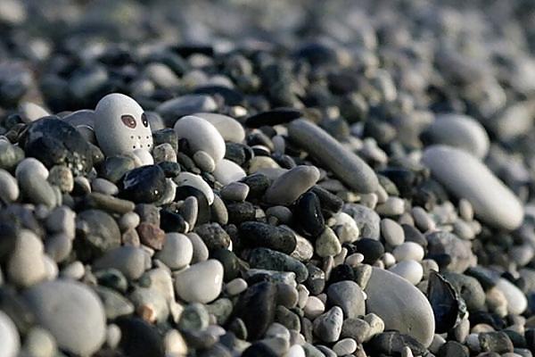 25P Funny and Amazing Photos 2