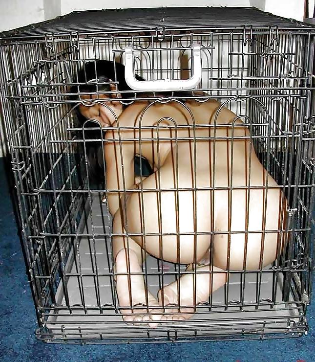 24P Caged Pets
