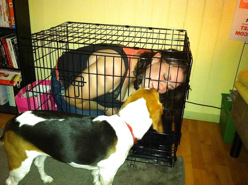 24P Caged Pets