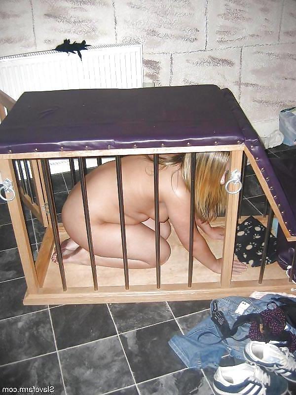 24P Caged Pets