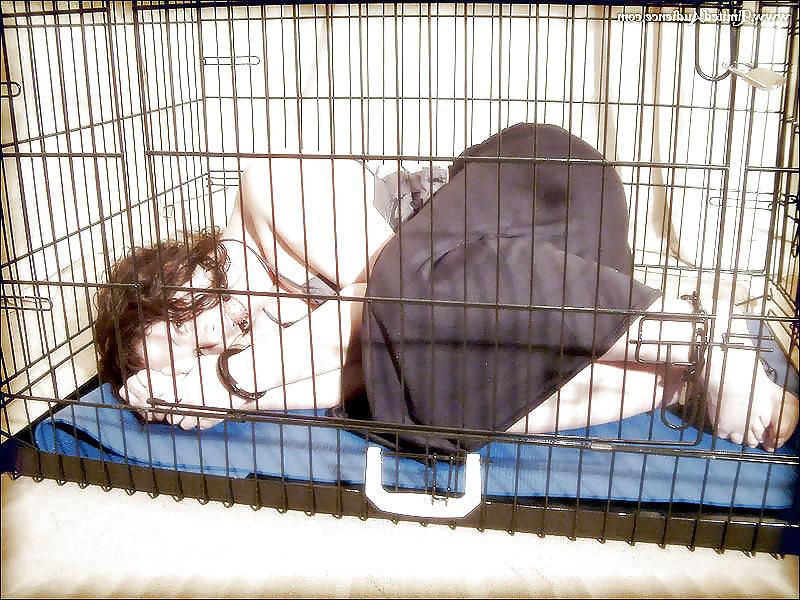 24P Caged Pets