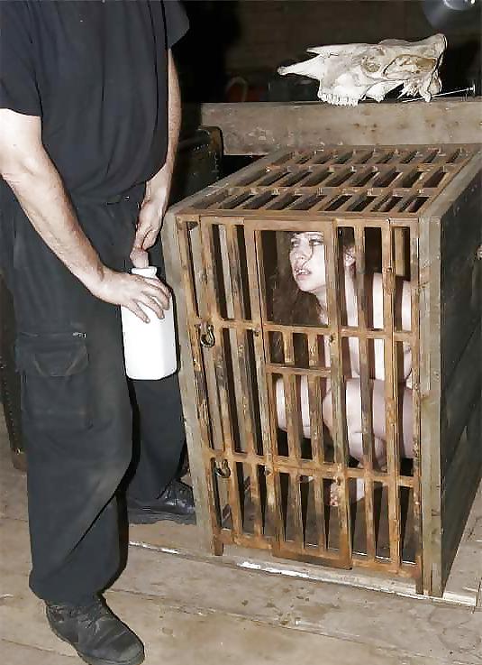 24P Caged Pets