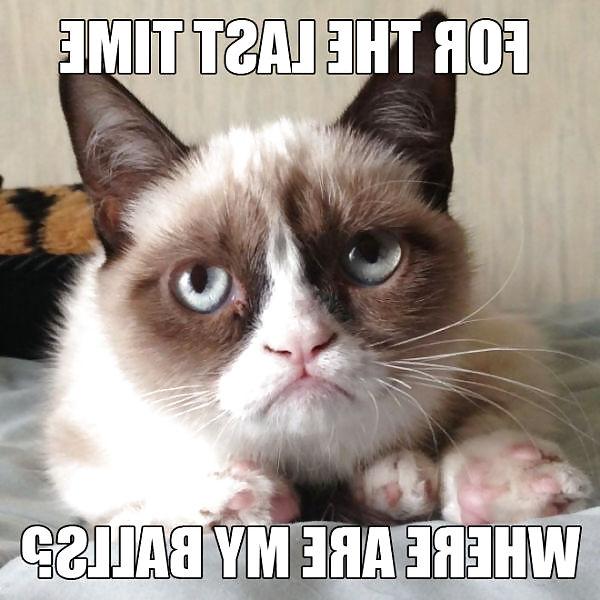 25P Funny Sex Related Picture's