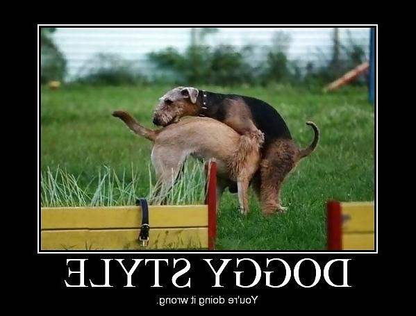 25P Funny Sex Related Picture's