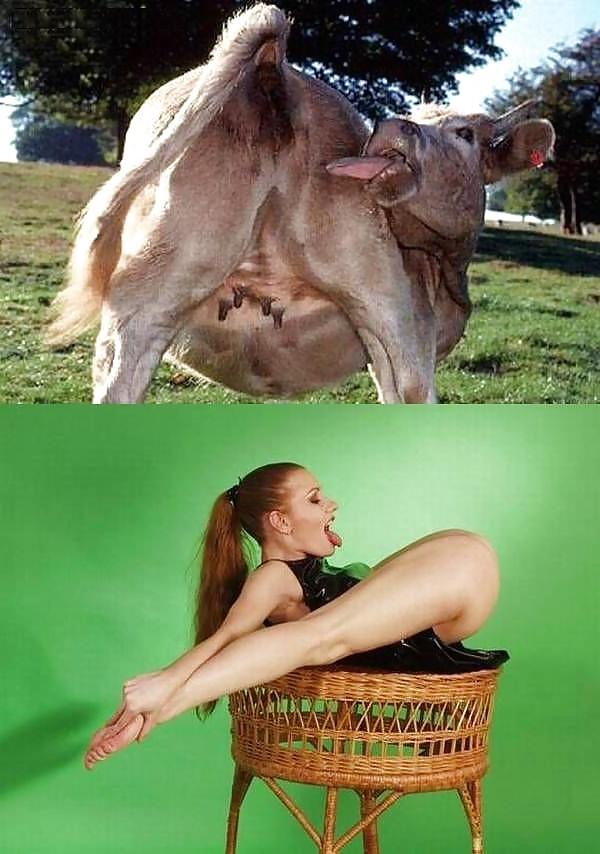 25P Funny