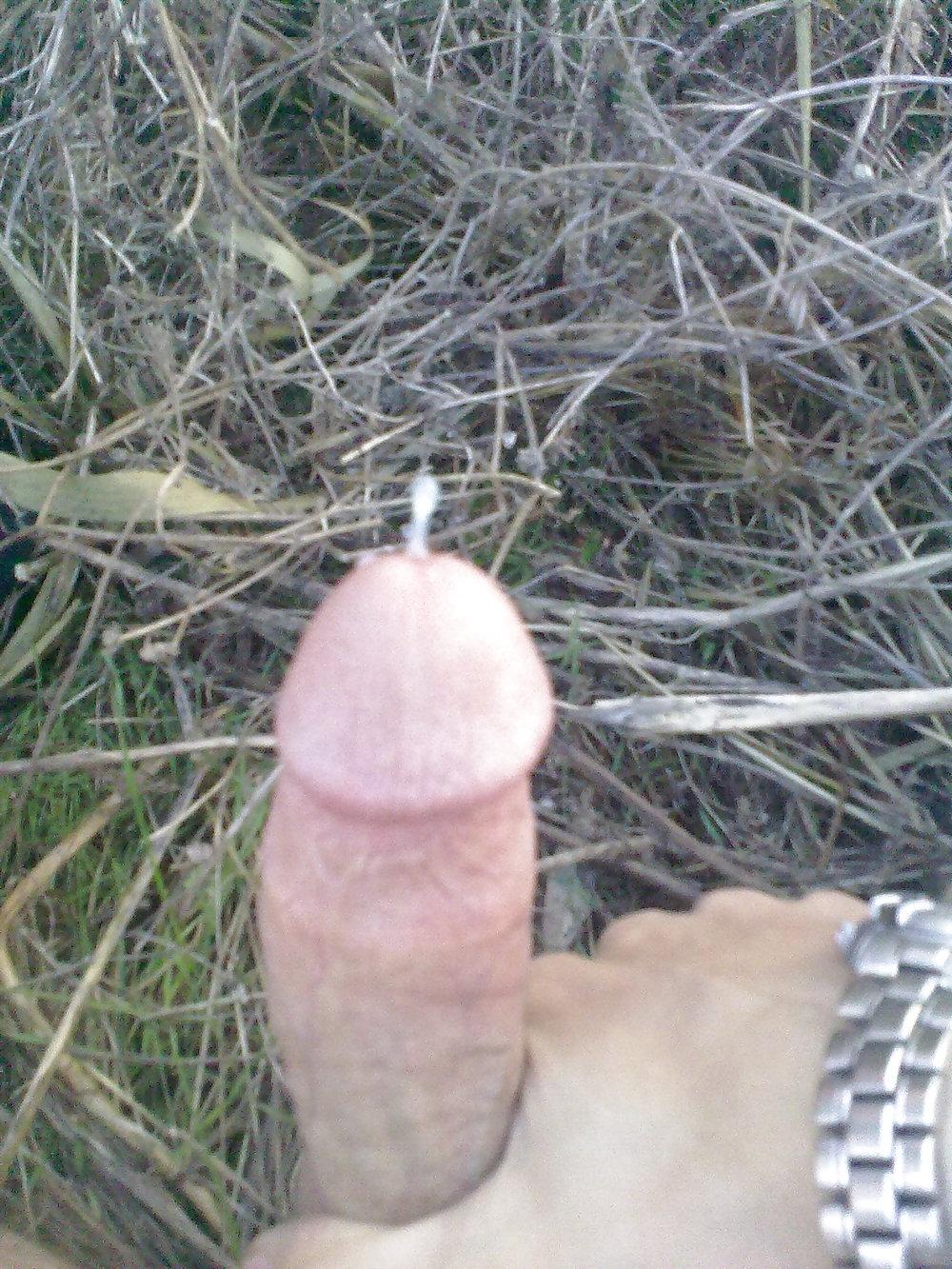 24P Benim penis