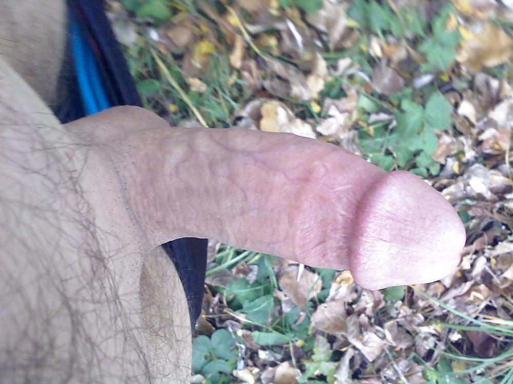 24P Benim penis