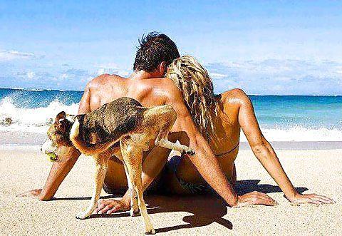 11P Funny quotes and pics 2