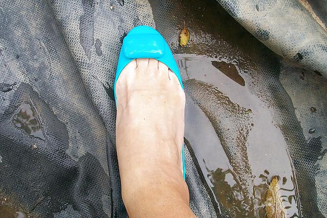 25P SANDALIAS ALTAS