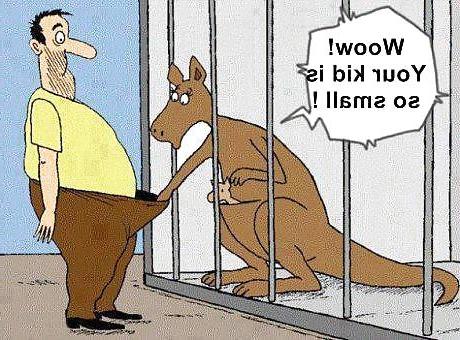 14P Funny  quotes and pics 5