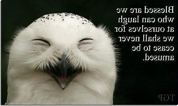 14P Funny  quotes and pics 5