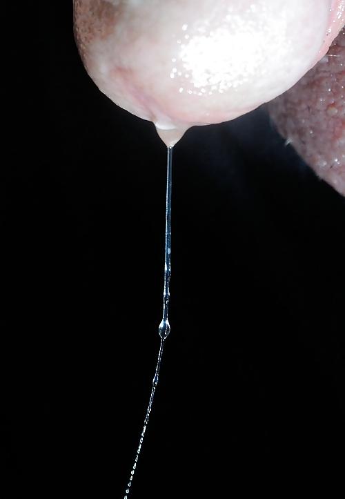 20P Precum Lovers