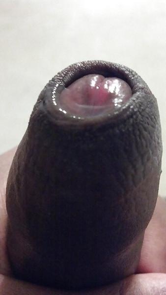 20P Precum Lovers