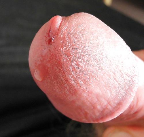 20P Precum Lovers