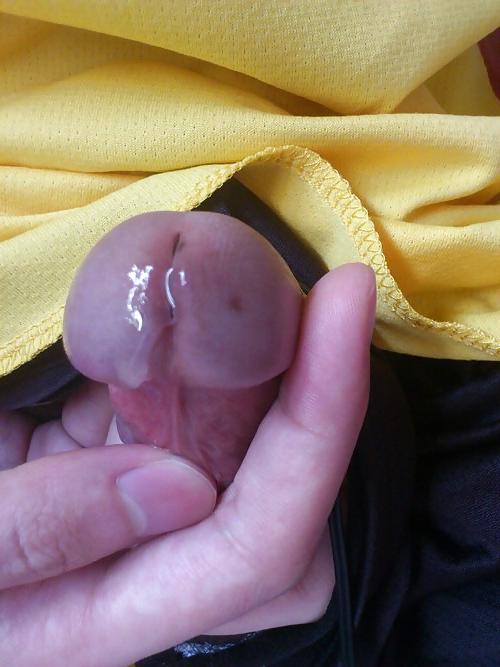 20P Precum Lovers