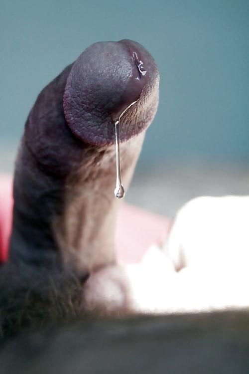 20P Precum Lovers