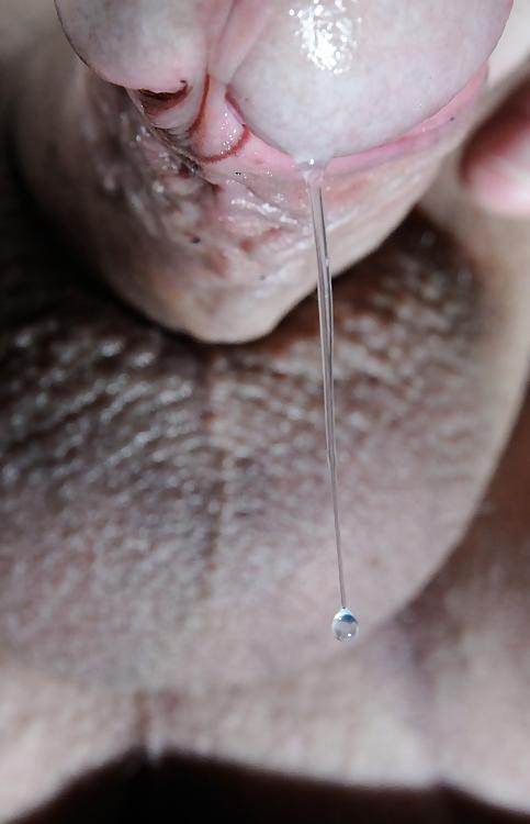 20P Precum Lovers