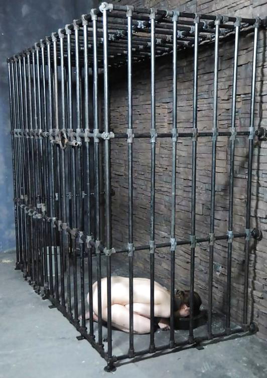 25P Caged Kennel Cunts pt. 2
