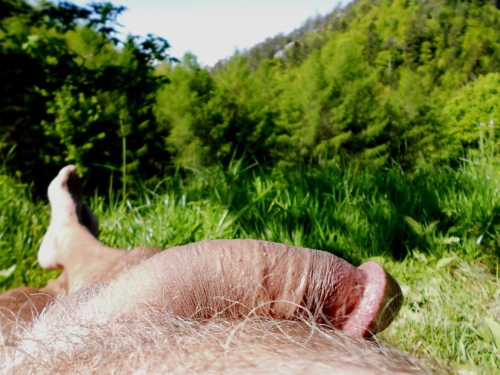 11P My cock lying in the grass