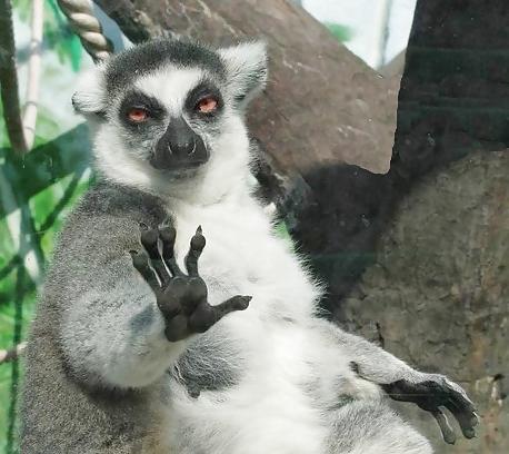 24P Funny pics......:D