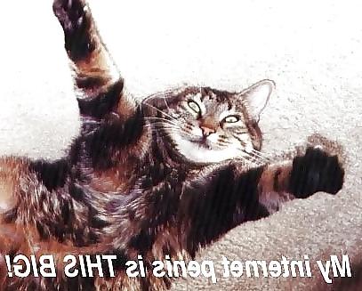 24P Funny pics......:D
