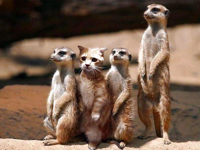 24P Funny pics......:D