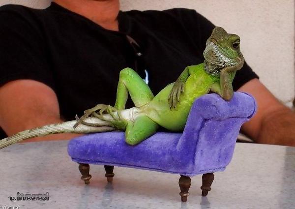 24P Funny pics......:D