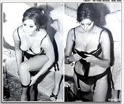 25P The Lovely Sophia