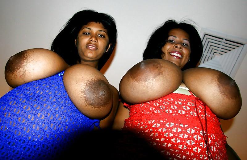 23P Breast Lovers Dream 369