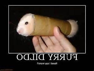 16P Funny