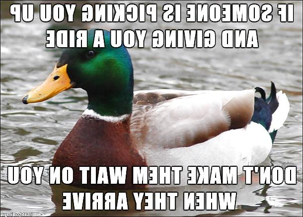 25P Funny Quotes  Mixed
