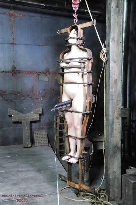23P Standing Cage!