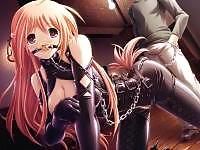 15P Hentai Petgirls