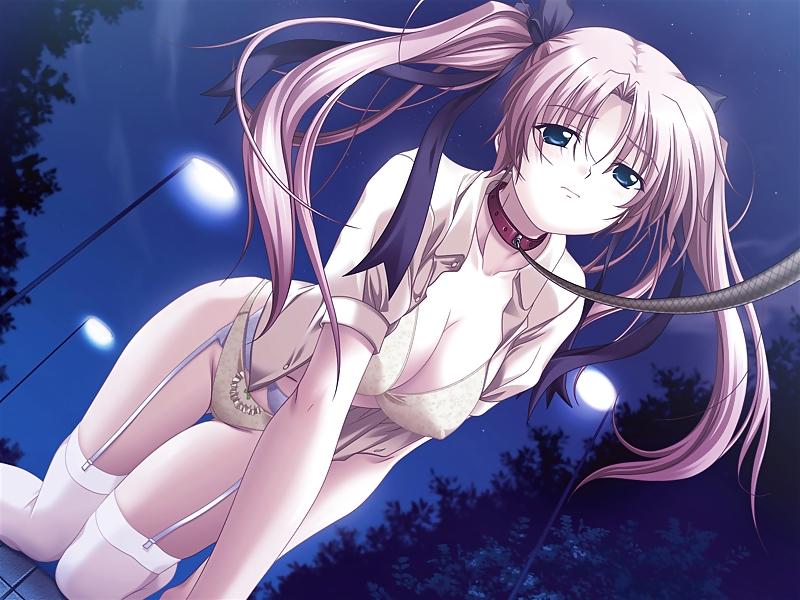 15P Hentai Petgirls