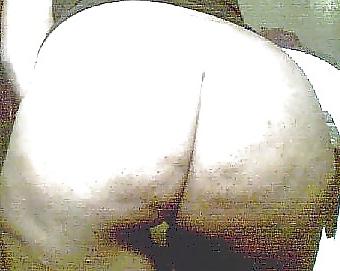 6P 4 Ass Lovers