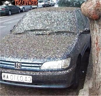 18P Funny Stuff 3