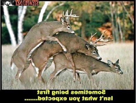 18P Funny Stuff 3