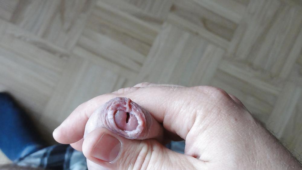 9P Weitere Penis Bilder (unrasiert)